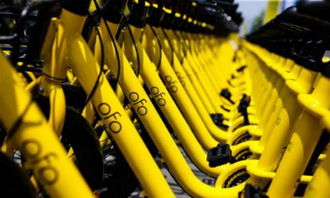 ofo 回应异常扣费 抖音回应广告业务被停 余额宝总规模达 1.8 万亿元