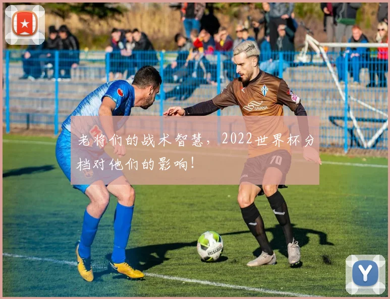 老将们的战术智慧,2022世界杯分档对他们的影响!