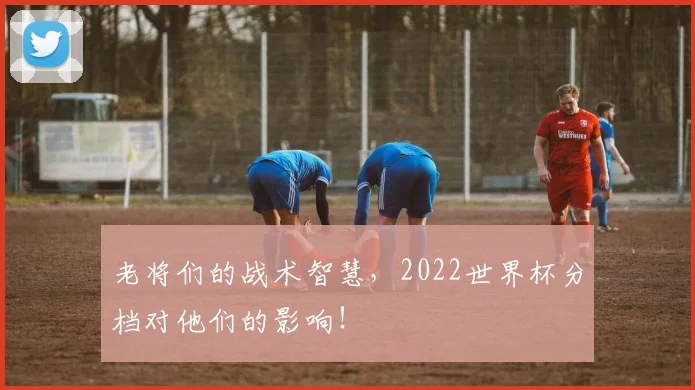 老将们的战术智慧,2022世界杯分档对他们的影响!